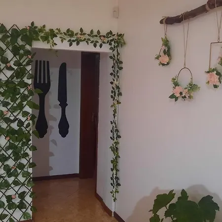 Ana Paula House * أفيرو