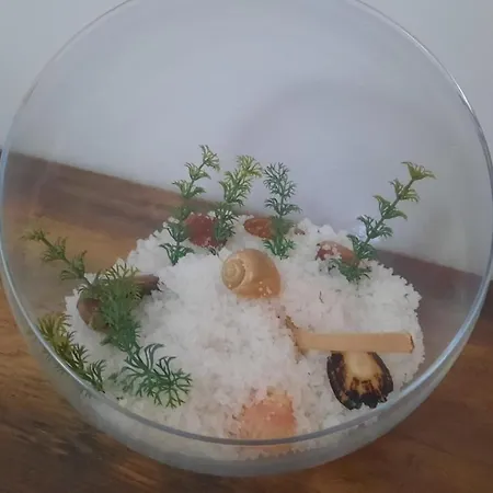 Séjour chez l'habitant Ana Paula House *