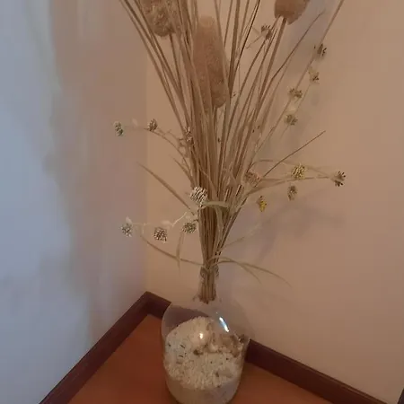 Quarto em Acomodações Particulares Ana Paula House Aveiro