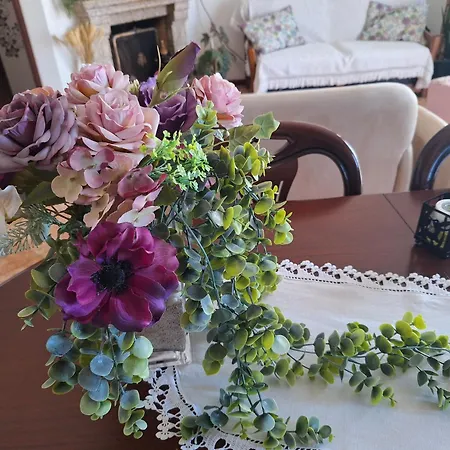 Ana Paula House Aveiro