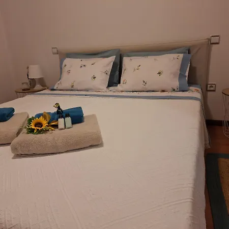 Ana Paula House