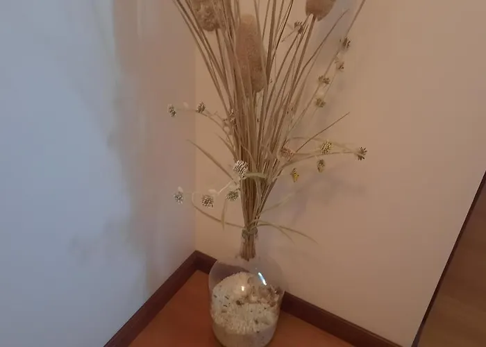 Séjour chez l'habitant Ana Paula House Aveiro