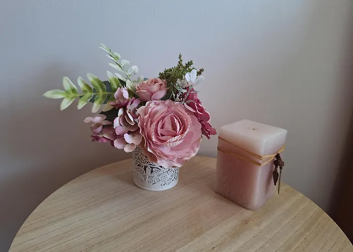 Séjour chez l'habitant Ana Paula House *